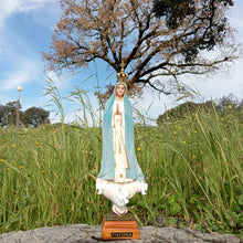 Load image into Gallery viewer, Color Changing - Our Lady of Fatima [Weather]
